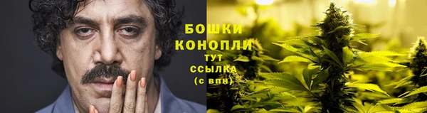 винт Липки