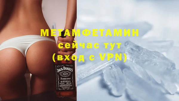 хмурый Магас