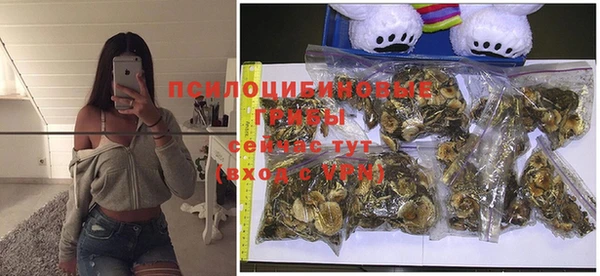 марки nbome Магадан