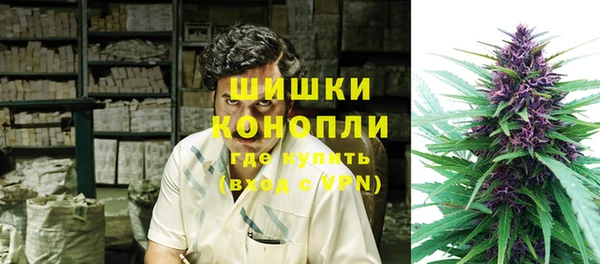 хмурый Магас