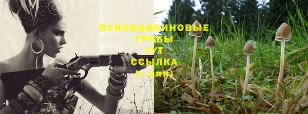 прущая мука Лиски