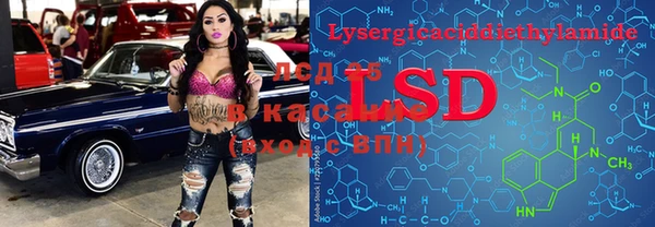 винт Липки