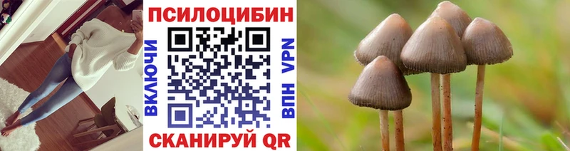сайты даркнета телеграм  Люберцы  Псилоцибиновые грибы Cubensis 