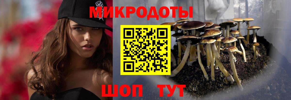 Псилоцибиновые грибы мухоморы  Галлюциногенные грибы GOLDEN TEACHER  Люберцы  Вход с VPN 
